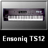 TS-12