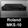 MKS-10