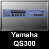 QS300